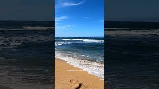 Huge waves at Haleiwa Beach [upl. by Ainatit]