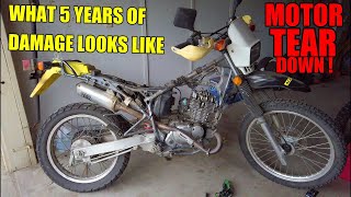 Lets See How Bad It Is  Suzuki Dr200 Rebuild Series Ep 2 [upl. by Norri230]