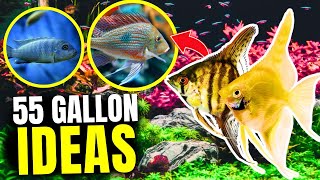 Best Fish for 55 Gallon Tanks Plus Tips amp Stock Ideas [upl. by Oleusnoc]