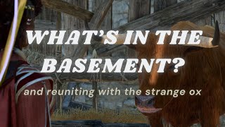 whats in the basement [upl. by Nybbor]