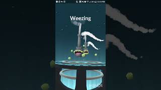 Evolving koffing from kanto into weesing from galar in pokemongo [upl. by Lorrad]