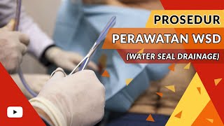 Prosedur Keperawatan  Perawatan WSD Water Seal Drainage [upl. by Ahsetel560]