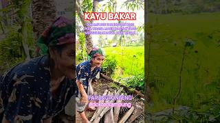 THE BIOMASS FUEL KAYU BAKAR  syarhan ruralhealthcare [upl. by Rammaj]