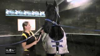 EP TV Episode 11  How Do I Stop My Horses Mane From Rubbing Out [upl. by Lat]