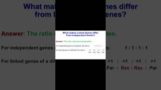 Linkage 101 2point gene Linkage education science genetics [upl. by Gibbs246]