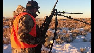 Utah elk hunt Dirk shooting the lead cow [upl. by Julianne]