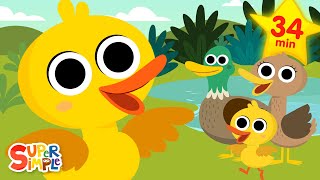 Ducks Ducks Ducks 🦆  Quacky Kids Songs  Super Simple Songs [upl. by Herries538]