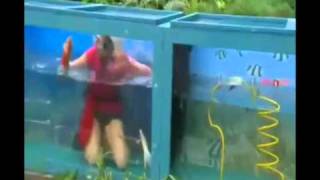 Im a Celebrity Get Me Out of Here Gillian McKeith scream video 2010 ITV1MP4 [upl. by Wistrup]