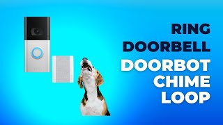 Ring Doorbell Sound  Doorbot Chime [upl. by Staten]