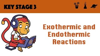 Exothermic vs Endothermic Reactions [upl. by Charlot984]