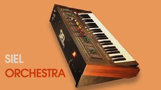 SIEL ORCHESTRA String Machine 1979  HD DEMO [upl. by Dorej]