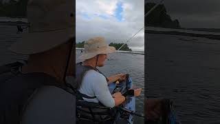 INVASIVE Spotted Bass fishing riverfishing kayakfishing [upl. by Syman501]