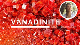 Vanadinite  The Crystal of Conservation [upl. by Evelc940]