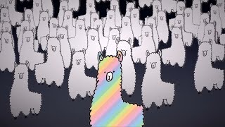 Rainbow Llama Music Video  Jon Brett The Llama Song [upl. by Cope853]