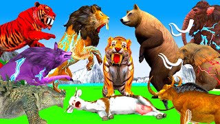 10 Giant Tiger vs Monster Wolf Lion Mammoth Fight Bear Attack Cartoon Bull Elephant Recuse cow [upl. by Inge]