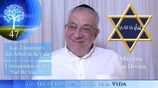 Kabbalah Los secretos del árbol de la vida  clase 47 [upl. by Neroc]