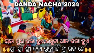 BHAJA MUGA GAJA HUE  USUNA DHANA GAJA HUE  MAA SUNABEDA DANDAKALI NKU BHAJA HE  DANDA NACHA 2024 [upl. by Zelazny]