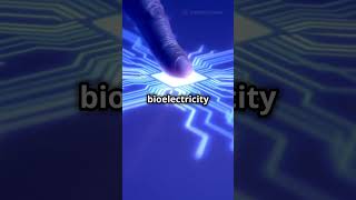 Powering Devices with Your Body The Future of Bioelectricity ⚡👤 [upl. by Coit]