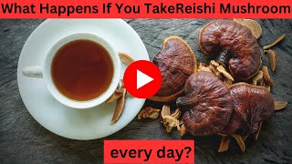 What Happens If You Take Reishi Mushroom every day [upl. by Nelyag]