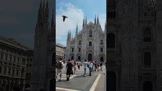 Milano Duomo Cathedral view [upl. by Tiossem]