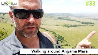 33  Walking around Angama Mara [upl. by Colson]