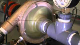 Watch cavitation from formation to severe condition [upl. by Ruenhs804]