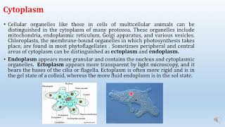 Lecture 2 Protozoa [upl. by Dihaz]