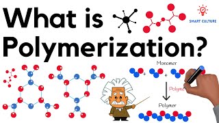 What is Polymerization [upl. by Evangelin136]