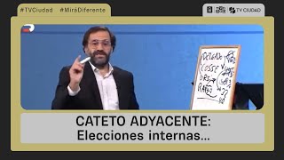 Cateto Adyacente 06052024  Elecciones internas [upl. by Ennaitak478]