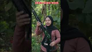 SPESIFIKASI PCP PREDATOR OD 38 MONOLITE TERBARH [upl. by Desireah]