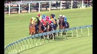 2008 Turnbull Stakes  Littorio [upl. by Okihcas]