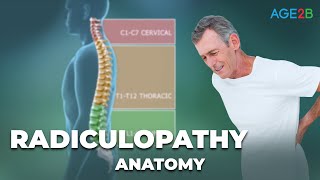 Syndrome Radiculopathy  How To Overcome  No Worries [upl. by Eudosia]