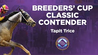 2024 Breeders Cup Classic Spotlight  Tapit Trice [upl. by Sheya]