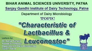 quotCharacteristic of Lactbacillus amp Leuconostocquot by Dr Sonia Dept of Dairy Microbiology SGIDT [upl. by Olette]