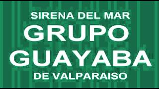 Grupo Guayaba  Sirena Del Mar [upl. by Aticilef]