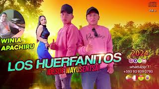 LOS HUERFANITOS  Winia Apachiru  Audio Oficial  2024 [upl. by Tonkin]