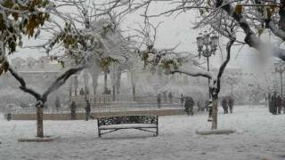 BLIDA SOUS LA NEIGEwmv [upl. by Casimire]