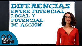 Diferencias entre potencial local y potencial de acción [upl. by Yendor]