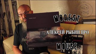 Алексей Рыбин про Modest Mouse  The Moon amp Antarctica [upl. by Seltzer]