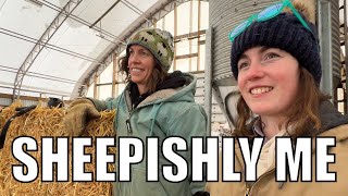 Sheepishly Me  Tara’s Version Sheep Farm Vlog [upl. by Anoved21]