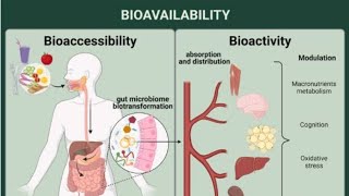 Biopharmaceutics and pharmacokinetics Bioavailability lec7 [upl. by Zetroc]