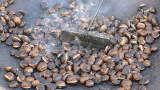 Roasting Chestnuts Slovenia and Italy Street Food [upl. by Siva]