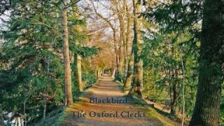 Blackbird The Oxford Clerks [upl. by Leiahtan]