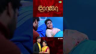 Roja Serial  EP 1275  Roja  Sibbu Suryan  Priyanka Nalkari  shorts ytshorts youtubeshorts [upl. by Nicolis567]