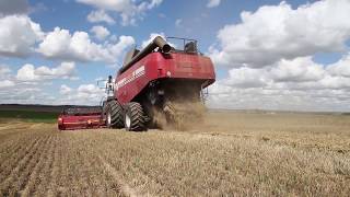 Grain harvesting combine PALESSE GS16 – owner of the fields [upl. by Auqenet]