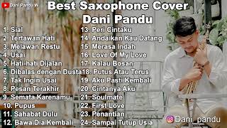 Best Saxophone Cover by Dani Pandu II  Kumpulan Cover Lagu Terbaik [upl. by Ettennyl216]