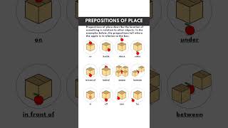 Learn Prepositions in seconds shorts preposition grammar spokenenglish learningvideos [upl. by Yerok]