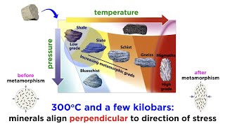 Origin of Metamorphic Rocks [upl. by Babbie]