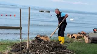 Lochau Schwemmholz und Hochwasser beim Strandbad und am Kaiserstrand [upl. by Notlil]