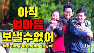 뉴질랜드 시골가족🌹시한부 엄마를 돌보며 농장일 하는 한국인 가족 I NZ Korean Family Taking Care Of Terminally Ill Mother [upl. by Truman797]